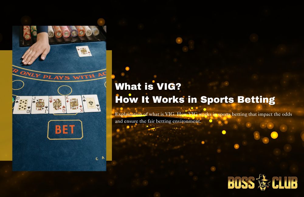 bc55 casino vig explain what is vig bc55 casino vig explain what is vig